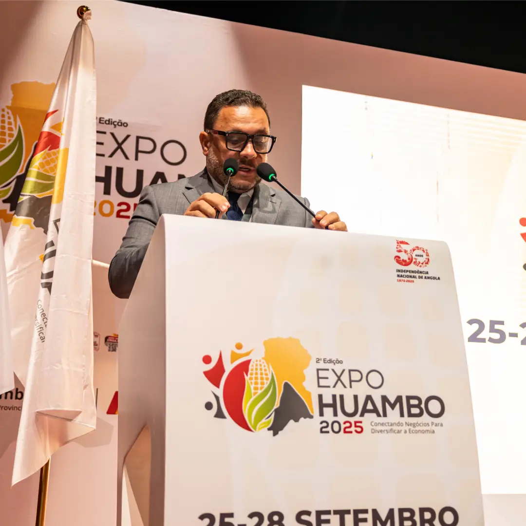 galeria_eh11